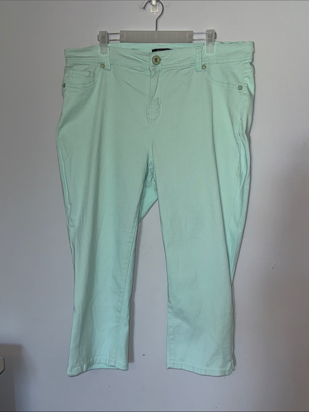 Roz & Ali Womens Minty Green Jeans Size 16 Ankle Length Cotton Spandex Preppy